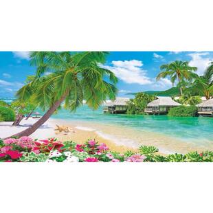 风景画瀑布墙画海滩椰子树风景现代装饰画纸制墙贴画年画海报包邮