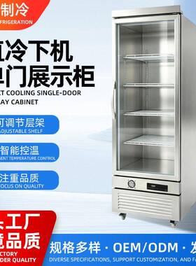 跨境直冷下机门展示柜大容量冷藏饮料酒水柜商用冷冻保鲜冰柜