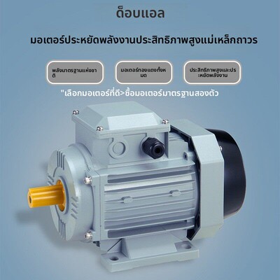 德葆永磁同步电机三相220/380V全铜变频电机0.75千瓦1.5/2.2/3kw