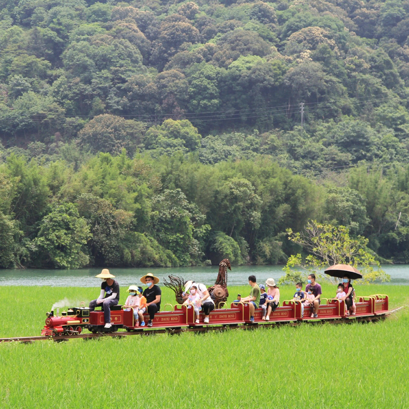 景区观光小火车 网红小火车 有轨小火车 小火车户外非标定制厂家