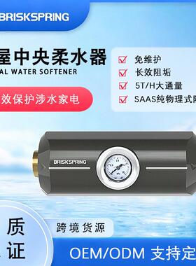全屋中央柔水器家用无盐地暖热水器阻垢去除水垢过滤器净水器跨境