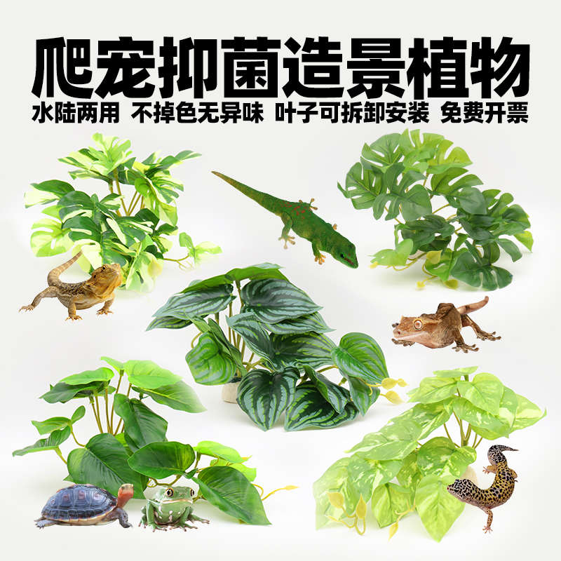 爬宠造景仿真植物摆件绿植躲避洞穴水盆食盆睫角守宫鬃狮乌龟用品