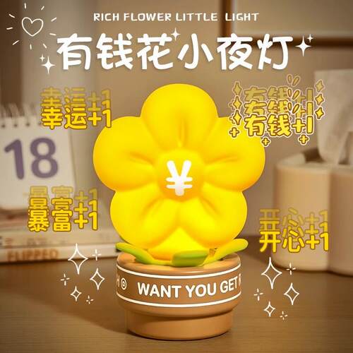 有钱花小夜灯生日礼物哺乳护眼三档柔光定时拍拍卧室床头伴睡礼品