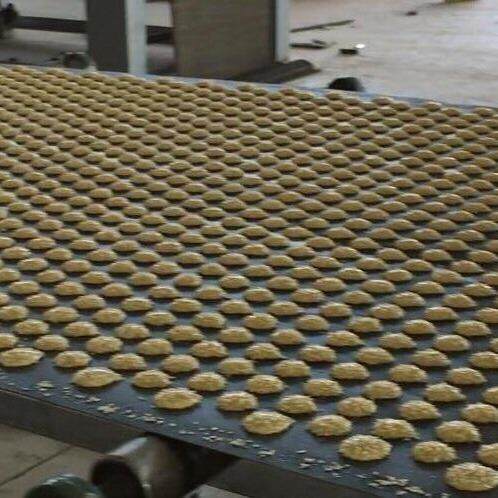 厂家供应芝麻杏仁生产线 休闲饼干设备 流水线饼干机质量保证
