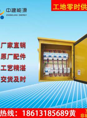 工地明装动力配电基业成套直流电源柜双电源带漏保移动小电箱