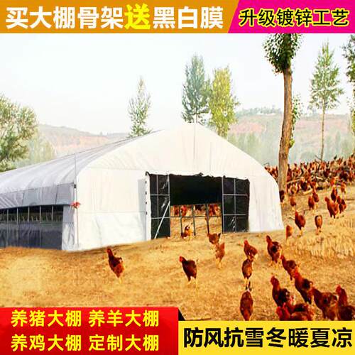养鸡大棚全套大棚钢管骨架搭建牛棚猪兔养猪大鹏养殖棚架养羊大棚