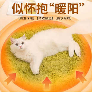 恒温防水取暖器小型用狗狗防漏抓电加热猫电热毯防垫宠物猫咪专用