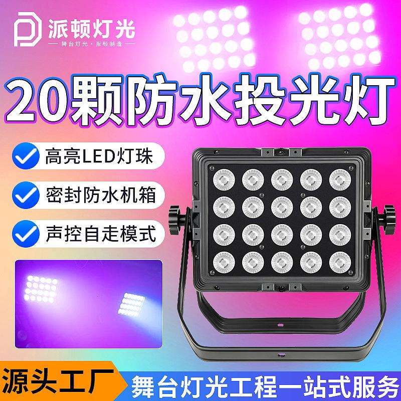 派顿 20颗防水投光灯室外防水染色灯LED补光灯户外景区亮化彩色灯