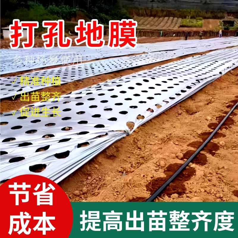 免打孔地膜农用打孔有孔除草黑地膜银黑双色反光种菜专用带孔地膜