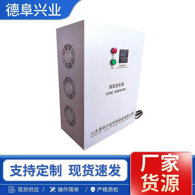 现货供应小型臭氧发生器一键启动水厂水处理冷库保鲜用臭氧设备