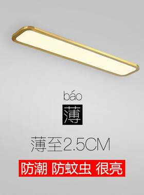 长条吸顶灯超薄led长方形吸顶灯贴墙走廊过道灯轻奢衣帽间阳台灯