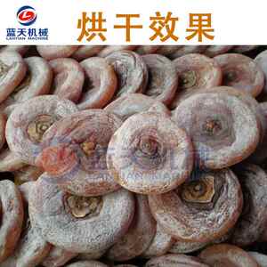柿子烘干机 电加热懒柿柿子饼烘干箱 乌柿白柿干智能烘干房一体机