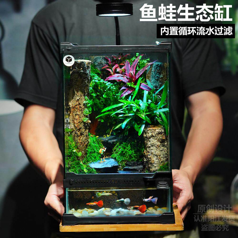 植愈苔藓微景观生态雨林缸桌面绿植摆件盆栽办公室生态瓶礼物成品