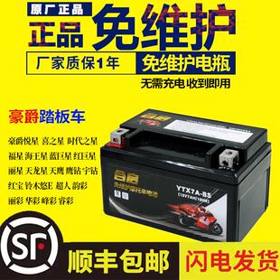 机车电瓶YTX7A-BS免维护豪迈豪.爵悦星125踏板配件蓄电池12V7AH