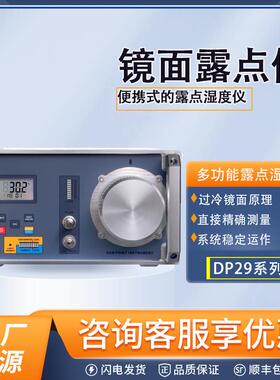 DP29多功能镜面露点仪微量水分测定仪微水仪便携式露点温湿度仪