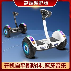 鹏音伴九号Ninebot2025新款官方旗舰店儿童电动自平衡 车 6岁以上智能成人摆件饰品