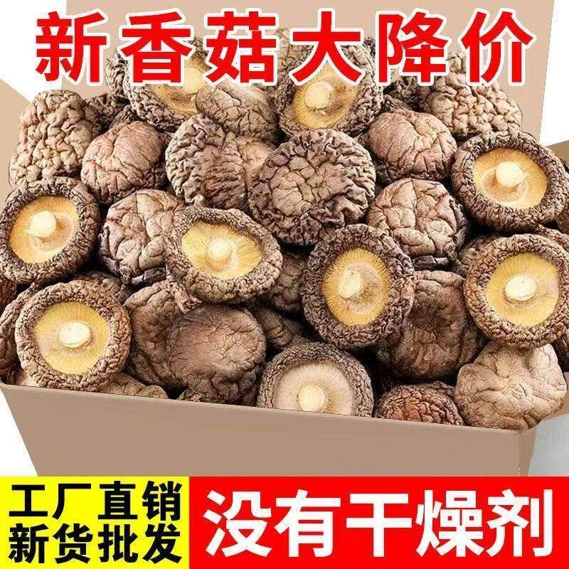 新货精选香菇干货500g一斤包邮商用特产干蘑菇干香茹新鲜干香菇