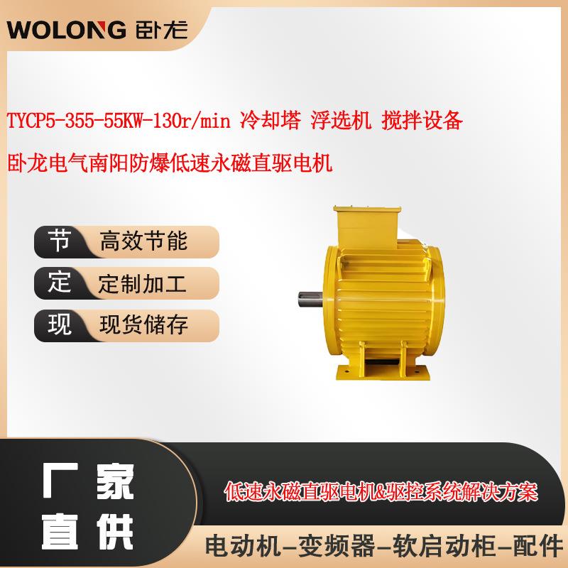 TYCP5-55W-130r/min冷却塔浮选机搅拌设备南阳防爆永磁直驱电机