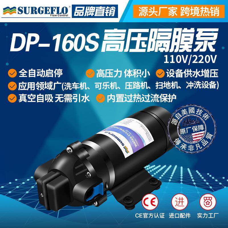 DP-160S110v/220V压隔膜可乐机泵净水器扬程喷雾洗车加压泵