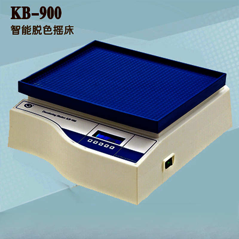 其林贝尔 智能脱色摇床KB-900中英文显示触摸键控可开票