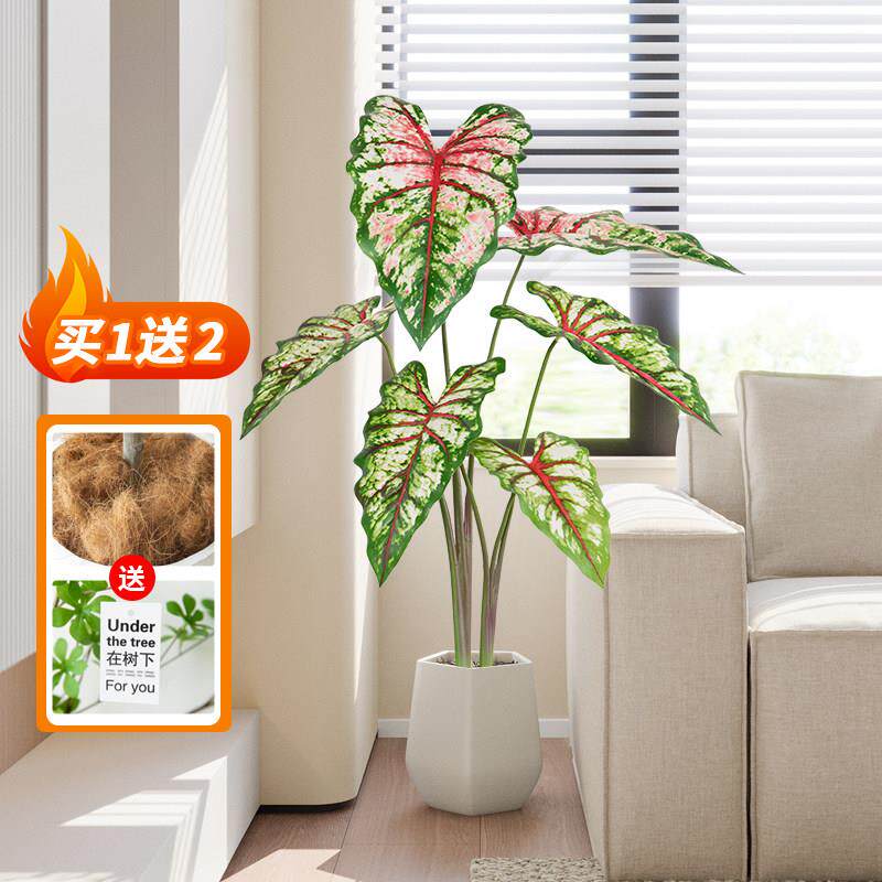 彷真绿色植物假植物盆栽彩叶芋客厅家居沙发轻奢装饰室内落地盆景