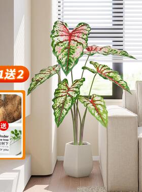 彷真绿色植物假植物盆栽彩叶芋客厅家居沙发轻奢装饰室内落地盆景