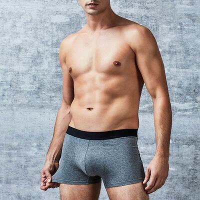 Mens Underwear Boxers Shorts for men 100%Cotton Male Panties