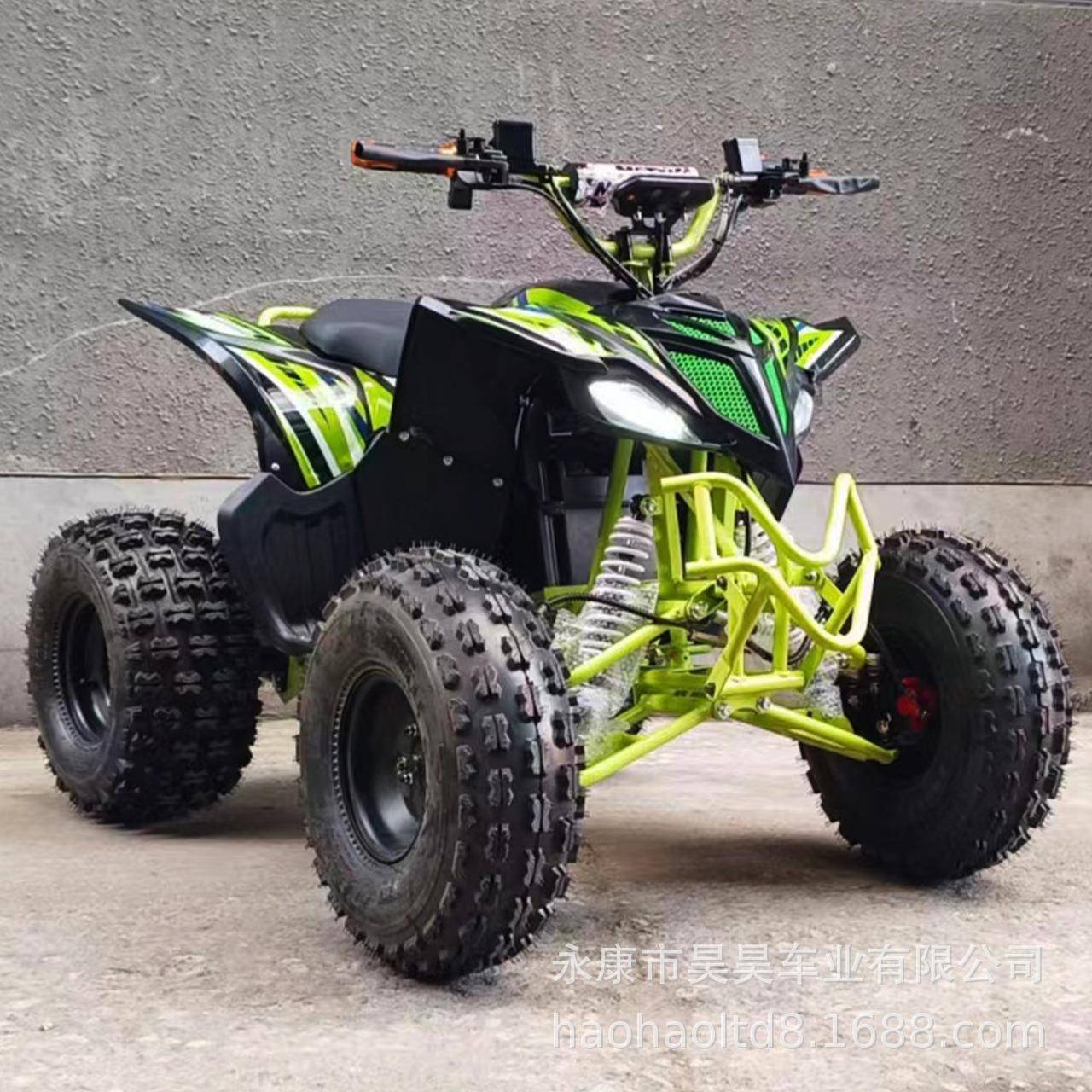 跨境新款1000w60v电动沙滩车全地形车越野车成人electricatv