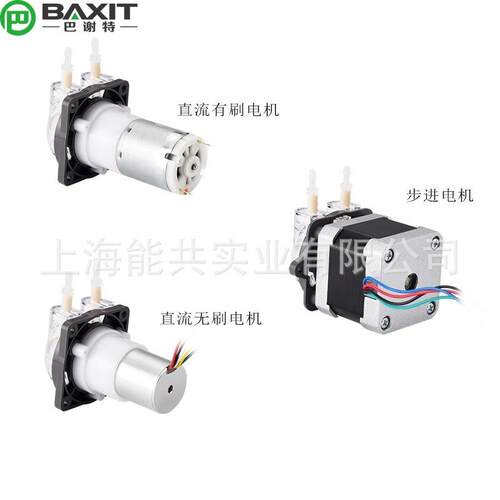 P40微小型蠕动泵12V24V直流有刷直流无刷步进 高精度滴定泵耐腐蚀