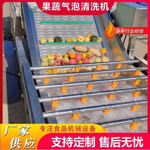 商用全自动连续果蔬清洗设备杏子气泡喷淋清洗机工业用油桃清洗线