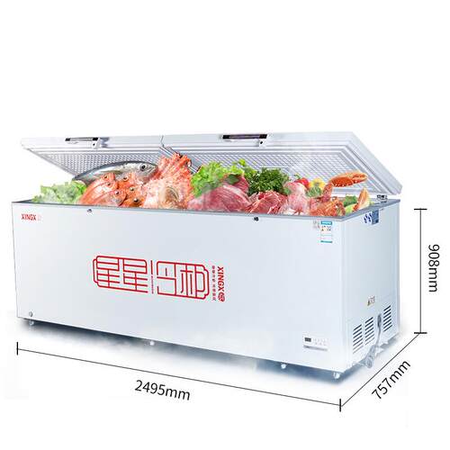 星星（XINGX） 商用大容量冰柜液晶温显商用大冷柜 BD/BC-1088G
