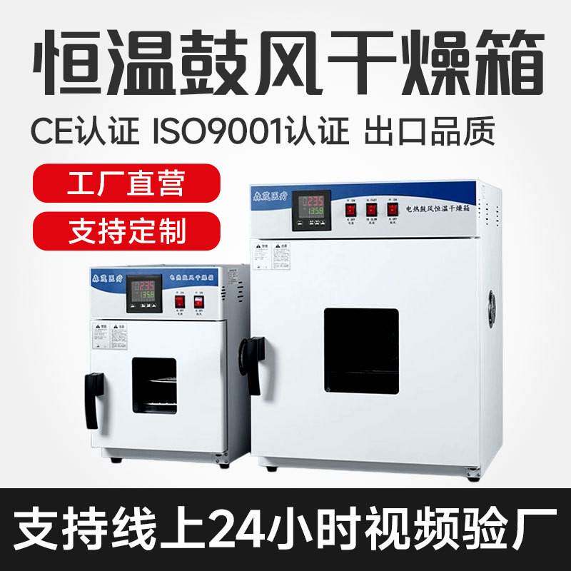 电热鼓风干燥箱实验室器皿烘干箱草水果干温烤箱现货速发