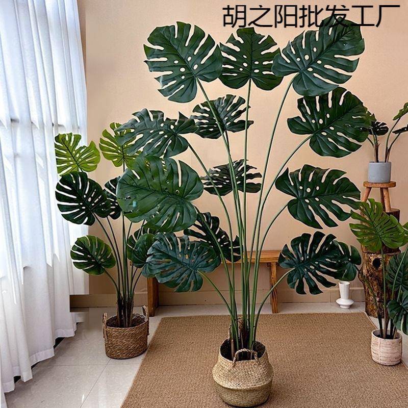绿植龟背竹散尾葵蓝花楹南天竹橡胶榕室内盆栽假树假花包邮