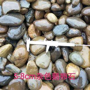 河滩石河床石水洗石杂河石青色灰色变压器石头回填鹅卵石子滤料