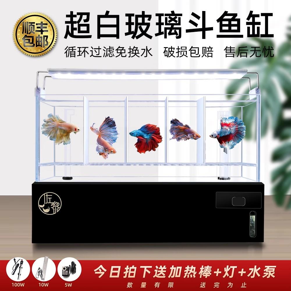 多格斗鱼排缸底滤鱼缸免换水带过滤灯科繁殖隔离缸桌面造景鱼缸