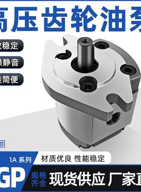 高压齿轮泵HGP-1A-F1R HGP-1A-F2R HGP-1A-F3/4/5/6/8R液压齿轮泵