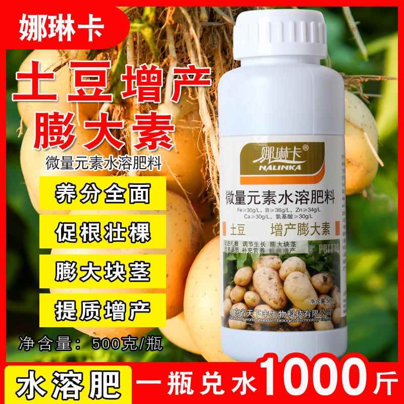 土豆专用膨大素增产增收膨大促长马铃薯防裂块茎膨壮防畸形水溶肥