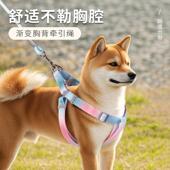新款 狗狗牵引绳渐变宠物胸背带外出遛狗绳防挣脱狗绳现货厂家直发