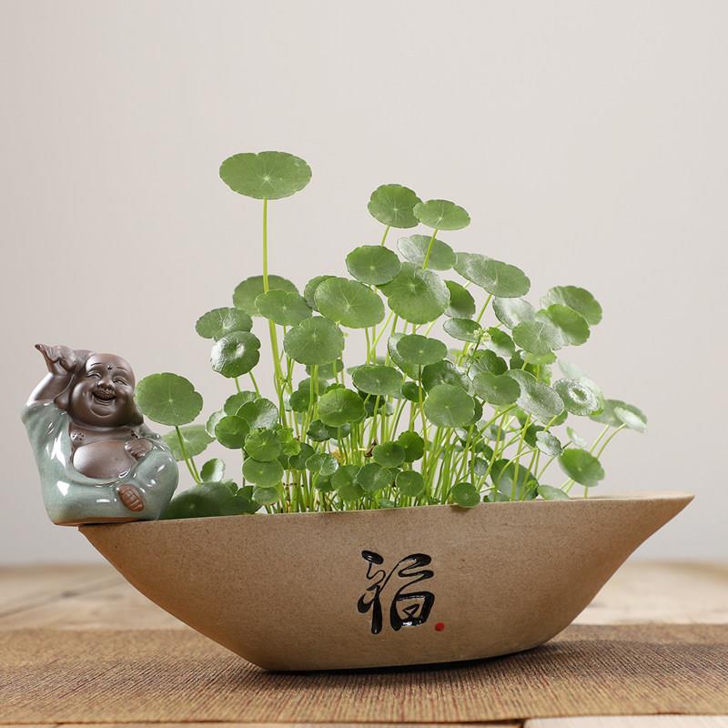 大号粗陶陶瓷水培花盆桌面室内无孔花器摆件铜钱水养植物睡莲花钵