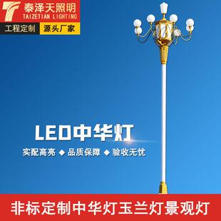 户外LED6米8米园林景观灯民族风文化广场路灯市政大型12米中华灯
