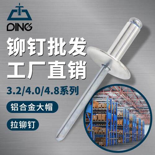 国标大帽抽芯铆钉大头拉钉圆大帽簷铝拉钉3.2/4.0/4.8厂家铝合金