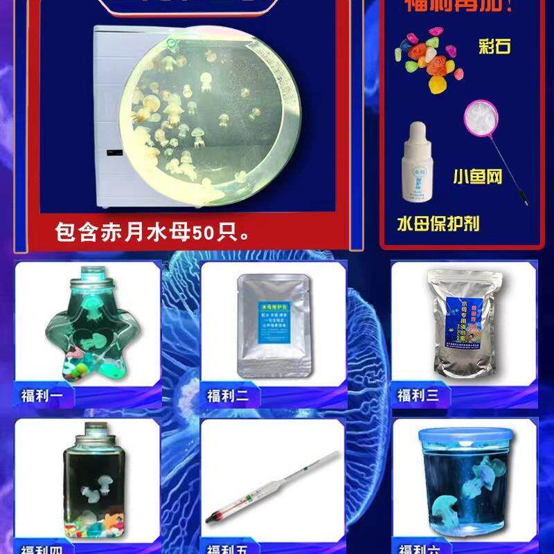 赤月套餐摆摊套餐放假摆地摊夜市商场兼职新奇特养殖缸套装