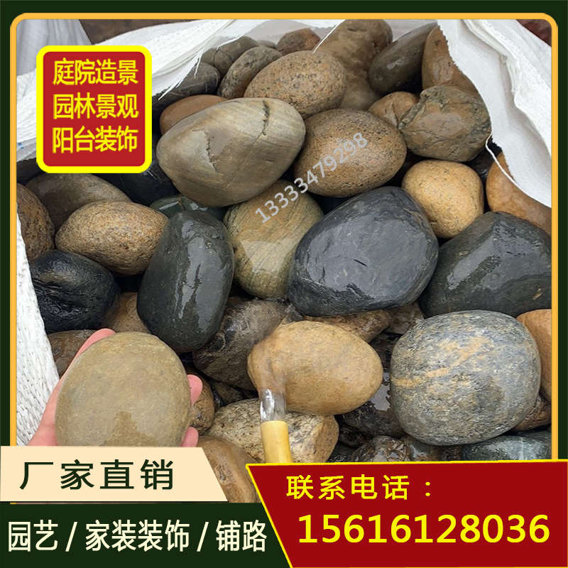 福建天然鹅卵石超大园艺装饰河卵石鱼缸庭院造景大石头原石池塘