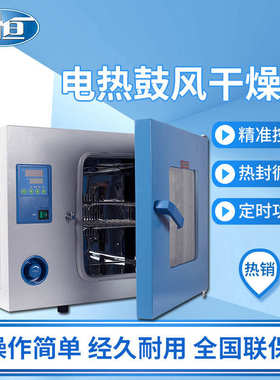 上海 一恒DHG-9030A电热鼓风干燥箱 小型烘箱实验室烤箱 厂家直发