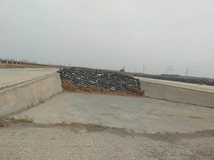 12月26日张掖牧业公司青贮玉米（3号窖）网络拍卖公告