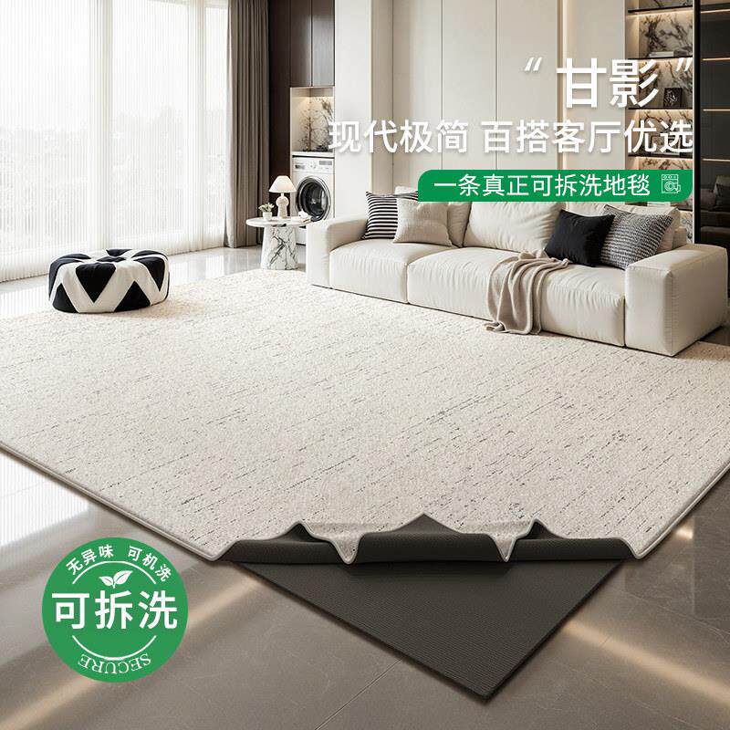 可拆洗地毯客厅新款现代极简卧室沙发可拆卸水洗双层隔音床边地垫