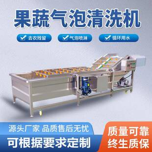 全自动气泡清洗机苹果干成套清洗加工设备柑橘柚子气泡清洗机