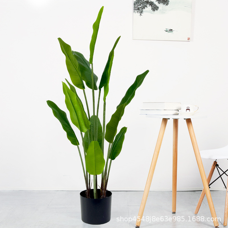 蕉奥BF-W2114仿真旅人蕉网红旅人蕉盆人栽与造旅人蕉盆景旅人假树