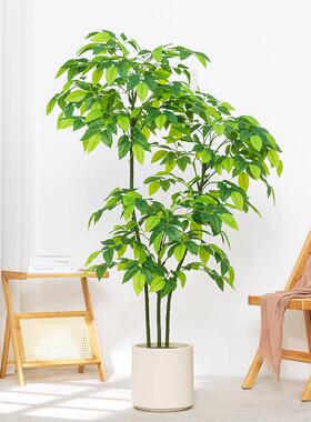 彷真绿色植物幸福树发财树盆栽摆件室内客厅家居装饰植物彷真植物