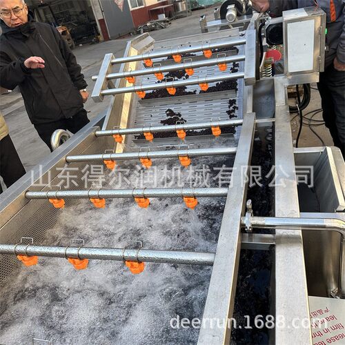 4500型蓝莓气泡清洗机水果清洗风干流水线循环水过滤使用自动